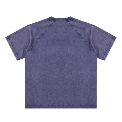 Duece the Dove Vintage Washed Raglan Cotton T-Shirt
